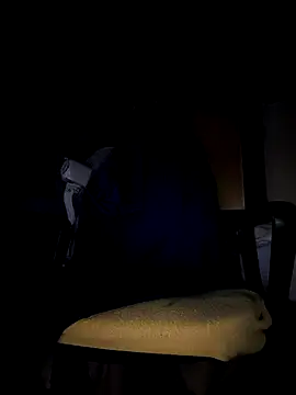 Erseiler's cam snapshot