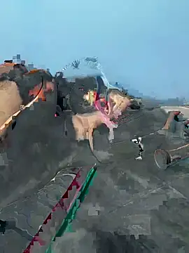 crazy_penis's cam snapshot