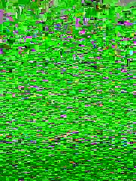 Ananine's cam snapshot