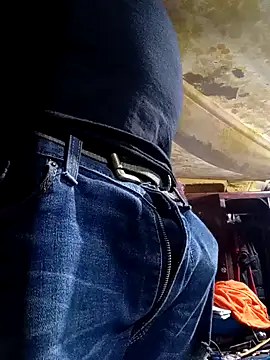 Cogelonregio's cam snapshot