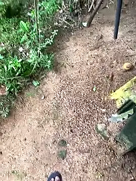 hottbooyy live sex cam