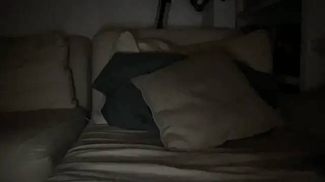 dddasani's cam snapshot