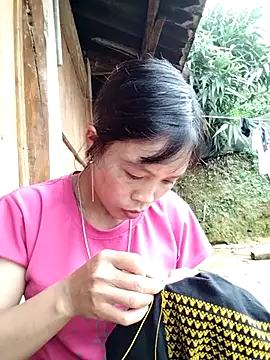 dinnavi's cam snapshot