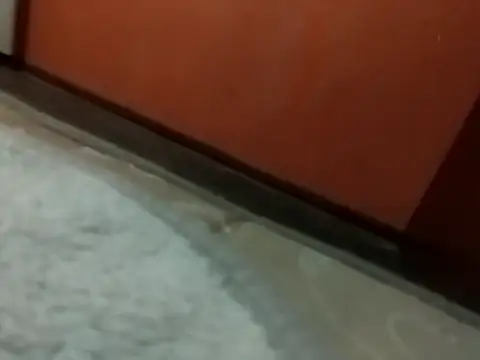 broskies777's cam snapshot