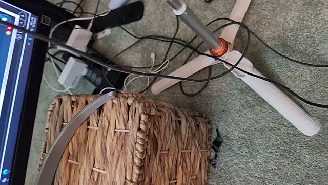 Linzy_19's Stripchat show and profile