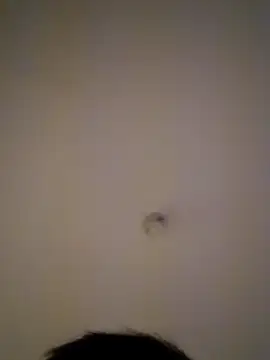 LUISSLEONN0958 live sex cam