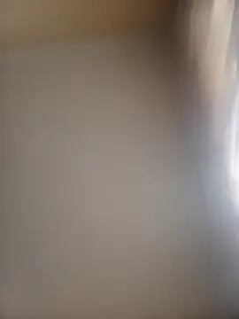 programmersData12's web cam