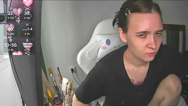 crashtest_13's cam snapshot