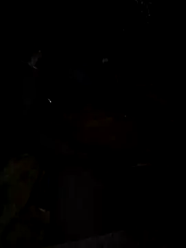 Village_aunty12's cam snapshot