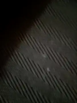 flexibledickson's cam snapshot