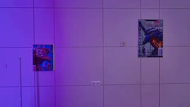 swag_evalution's cam snapshot