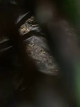 uniquesexyboy5689's cam snapshot