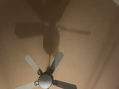 Johndoe2292 live sex cam