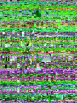 the_crazysex live sex cam