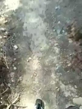 jonymoreno's cam snapshot