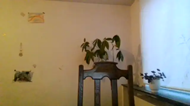 JasmineGlamour's cam snapshot