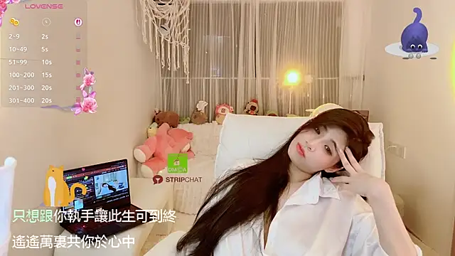 Vaidurya-Yolo's cam snapshot