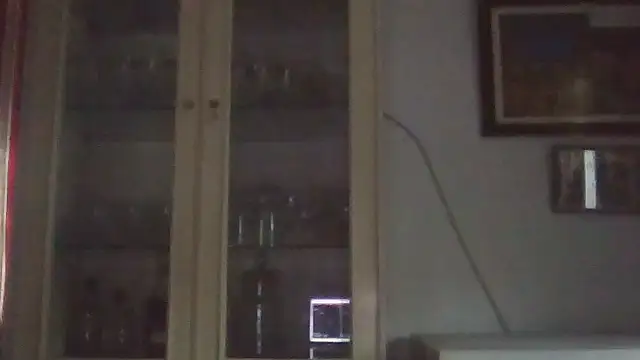 llopaco's cam snapshot