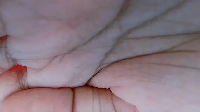 Gleaming-Butterfly's cam snapshot