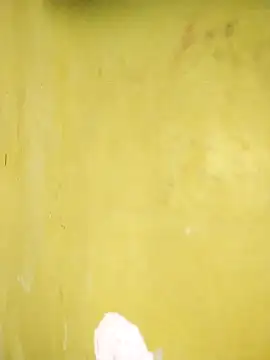 hootmom's cam snapshot