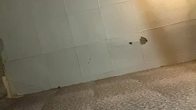 SaraXiao's cam snapshot