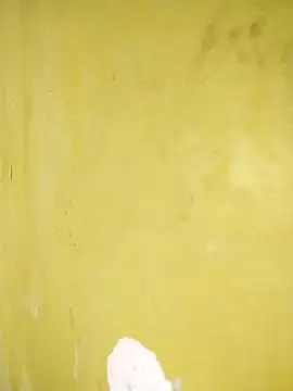 hootmom's cam snapshot