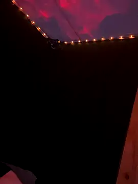 GenitalWars's cam snapshot