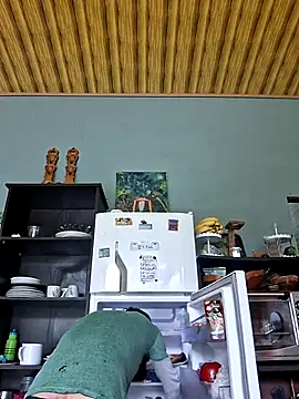 Toycockhot's cam snapshot