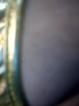 shrutee12's cam snapshot