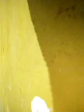 hootmom's cam snapshot