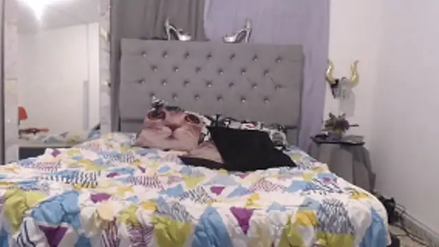 KarolLewys's cam snapshot