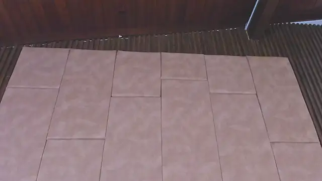 alison_harper19's cam snapshot