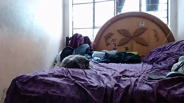 nakedlima's cam snapshot