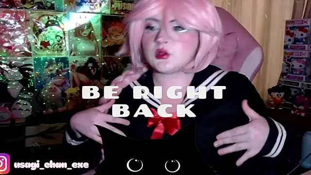 PixelAurora's web cam