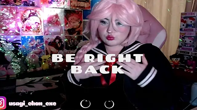 PixelAurora's web cam