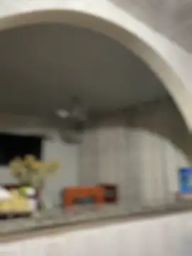 Carola-Ross's cam snapshot