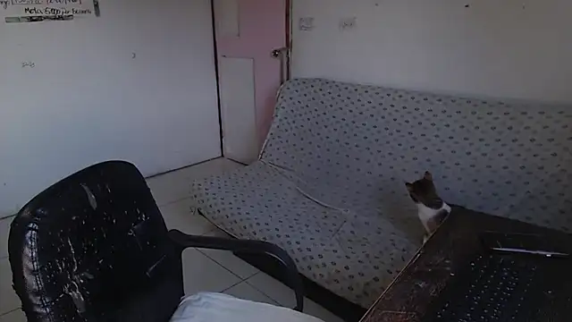 girl_milk2's cam snapshot