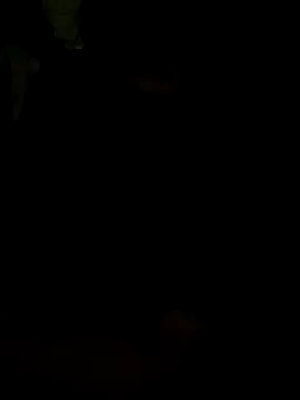 Aashikalaa's cam snapshot