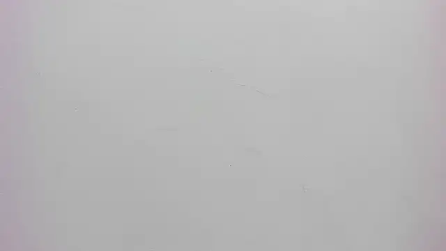 PariisTaylor's cam snapshot