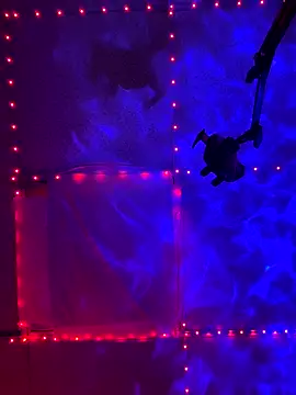 GenitalWars's cam snapshot