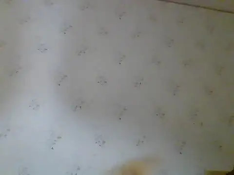 Kreol69's cam snapshot