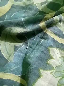 Nipacouple's web cam