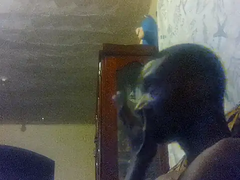 LookingLover34's cam snapshot