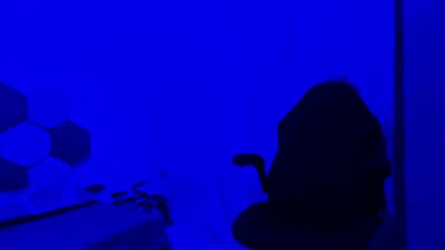 2006_tgn live sex cam