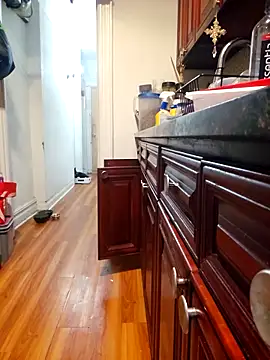 Gotabodiee's cam snapshot