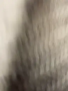 lunagirl13's cam snapshot