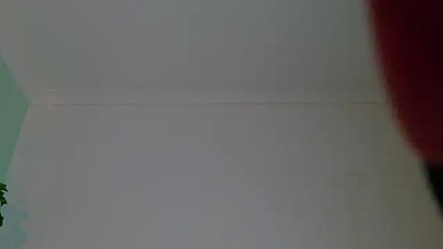 ParisFox_'s cam snapshot