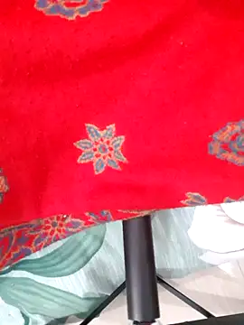 Bul-Bul-rani's cam snapshot