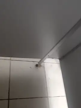 TrixieAndDaddy's cam snapshot