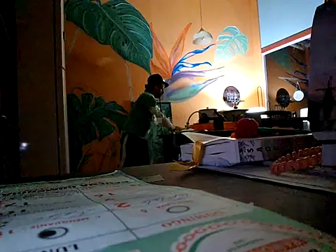 Toycockhot's cam snapshot